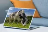 MuchoWow® Laptop Aufkleber Sticker Cover Kuh - Wald - Gras Produktbild-Vorschau 4