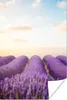 MuchoWow® Poster Lavendel - Himmel - Wolken - Blumen 40x60 Produktbild-Vorschau 1