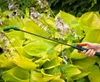 VERTO Irroratore a pressione 3 L Anteprima dell’immagine prodotto 5