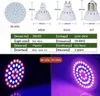 Product specifications and examples of LED grow lights. Anteprima dell’immagine prodotto