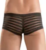 Svenjoyment Pants im semitransparentem Streifen-Look L Produktbild-Vorschau 9