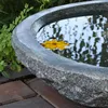 CLGarden Naturstein Wasserschale GVT2 aus Granit Ø 46cm Produktbild-Vorschau 10