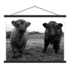 MuchoWow® Textilposter Schottische Highlander - Kühe - Produktbild-Vorschau 1