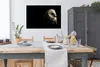 MuchoWow® Poster Eule - Vogel - Porträt 120x90 cm - Produktbild-Vorschau 3