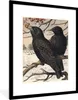 MuchoWow® MuchoWow® Gerahmtes Poster Antiker Vogeldruck Produktbild-Vorschau 1