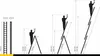 Drabest | Scala - scala 3x13 gradini, scala pieghevole - Anteprima dell’immagine prodotto 2