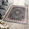 Koberec Orientální koberec Klasický orientální vzor - Náhled obrázku produktu 1