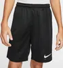 Nike Nohavice JR Park Iii Knit, BV6865010, Veľkosť: 128 Náhľad obrázku produktu 13