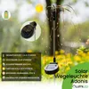 A solar garden light with decorative lights in a garden setting. Anteprima dell’immagine prodotto