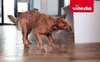 Vileda Pet Pro Mikrofasertuch XL Produktbild-Vorschau 9