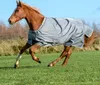 A brown horse wearing a gray turnout blanket running in a grassy field. Produktbild-Vorschau