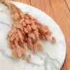 Getrocknete Hasenschwanzgras - (Lagurus) - Lachs Produktbild-Vorschau 7