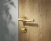 A close-up shot of a gold door handle and lock on a wooden door. Produktbild-Vorschau