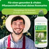 Purgrün -Rosmarin-Dünger 1 Liter, Produktbild-Vorschau 2