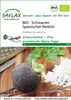 SAFLAX - Bio - Czarna Rzodkiew - 100 Nasiona - Raphanus Podgląd zdjęcia produktu 11