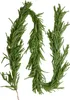 VEVOR Weihnachtsgirlande, 2750 mm, realistische Produktbild-Vorschau 1