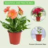 40 vasi da giardino in plastica da 10 cm, vasi per la Anteprima dell’immagine prodotto 3