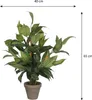 Sztuczna roślina Mica Decorations Hosta - H65 x Ø40 cm - Podgląd zdjęcia produktu 2