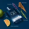 Giorgio Armani Acqua di Giò Profondo Eau De Parfum - Produktbild-Vorschau 10