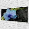 Acrylglasbilder 125x50 Wandbild Druck Blume Steine Pflanzen Produktbild-Vorschau 2