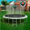 A trampoline with a basketball hoop attachment is set up on a grassy lawn in front of a house. Voir les images du produit