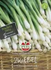 SPERLI Zwiebelsamen Freddy Winterheckenzwiebel Allium Produktbild-Vorschau 3