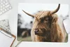 MuchoWow® Mauspad Mousepad Schottischer Highlander - Tiere Produktbild-Vorschau 5