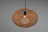 Trio Hedda lampada a sospensione E27 ⌀52cm Nero Opaco Anteprima dell’immagine prodotto 14