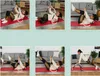 Relaxdays Attrezzo per addominali, LxPxA: 68,5x69x65 cm, Anteprima dell’immagine prodotto 2