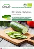 SAFLAX - BIO - Uhorka - Marketmore - Cucumis sativus - 20 Náhľad obrázku produktu 1