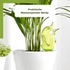 Scheurich Wasserspender Bördy M | 4 x Grün | 220ml Produktbild-Vorschau 4