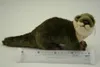Maskotka Wydra Nature De Brenne 35 cm Podgląd zdjęcia produktu 3