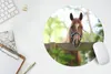 MuchoWow® Mauspad Mousepad Pferd - Natur - Zaun 30x30 cm - Produktbild-Vorschau 5