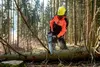 Metabo Akku-Kettensäge MS 36-18 LTX BL 40 18 V, Náhľad obrázku produktu 10