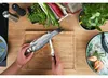 ZWILLING Coltello per filetti a quattro stelle 180 mm Anteprima dell’immagine prodotto 5