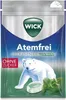 WICK Atemfrei zuckerfreie Halsbonbons mit Eukalyptus und Produktbild-Vorschau 2