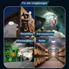 A collage of four images showing different environments where the product can be used, including construction sites, pipe inspections, workshops, and cellars. Produktbild-Vorschau