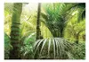 Basera Selbstklebende Fototapete Waldmotiv b-B-0033-a-a, Produktbild-Vorschau 2