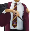 Vestaglia da mago di Harry Potter Grifondoro taglia XL Anteprima dell’immagine prodotto 13