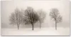 Acrylglasbilder 120x60 Wandbild Druck Schnee Bäume Produktbild-Vorschau 1