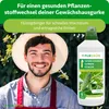 Purgrün -Gewächshausgurken-Dünger 1 Liter, Produktbild-Vorschau 2