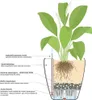 LECHUZA® Pflanzgefäße CLASSICO Color 28 Schiefergrau Produktbild-Vorschau 14