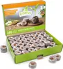 Kokos Quelltöpfe 36 mm | Kokos Quelltöpfe von FLORTUS, Produktbild-Vorschau 2