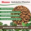 Leni Hydrokultur Komplett-Set mit Blumentopf Kulturtopf Produktbild-Vorschau 2