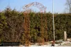Rosenbogen CHAMONIX Gesamtbreite 1,40 m Edelrost Pergola Produktbild-Vorschau 6