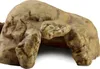 Exo Terra Reptile Cave, rozmiar: S Podgląd zdjęcia produktu 6