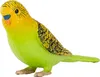 Mojo Fun Budgerigar Green, 3 lat(a), FARMLAND, Zielony, Podgląd zdjęcia produktu 8
