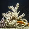 Galamio Aquariensand 0,2 - 2,0 mm 25kg Produktbild-Vorschau 5