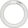 Insect-O-Cutor Aura™ Schwarz (ZL051-BLACK) Produktbild-Vorschau 5