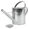 Zink Gießkanne mit Brausekopf silber - 5 Liter - Blumen Produktbild-Vorschau 8
